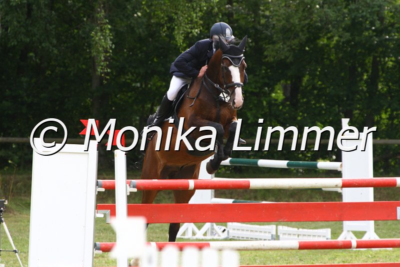 007M9688_Spring M x.JPG